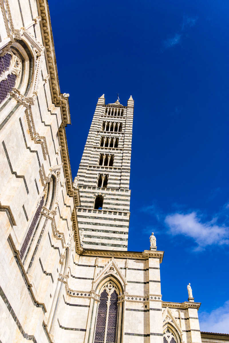 Siena Duomo 27