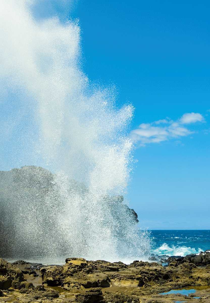 BLOWHOLE MAUI