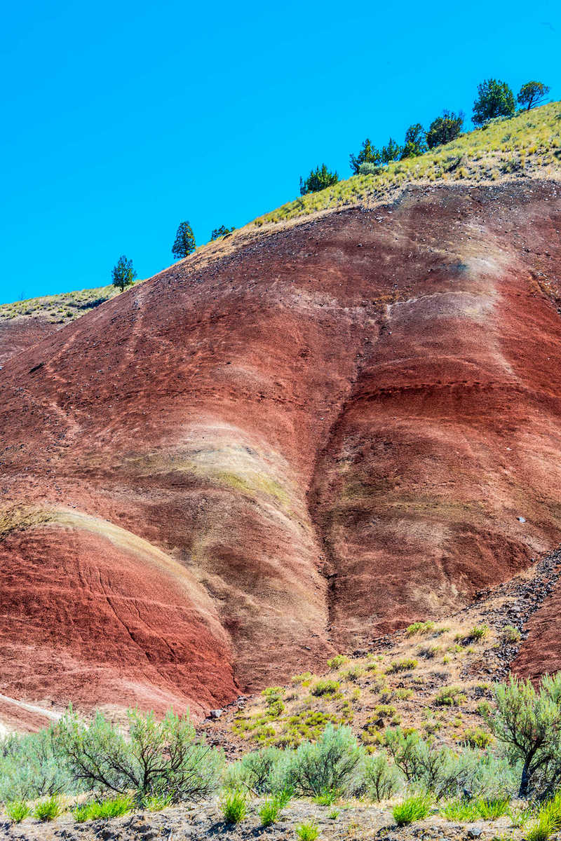 Painted Hills 14