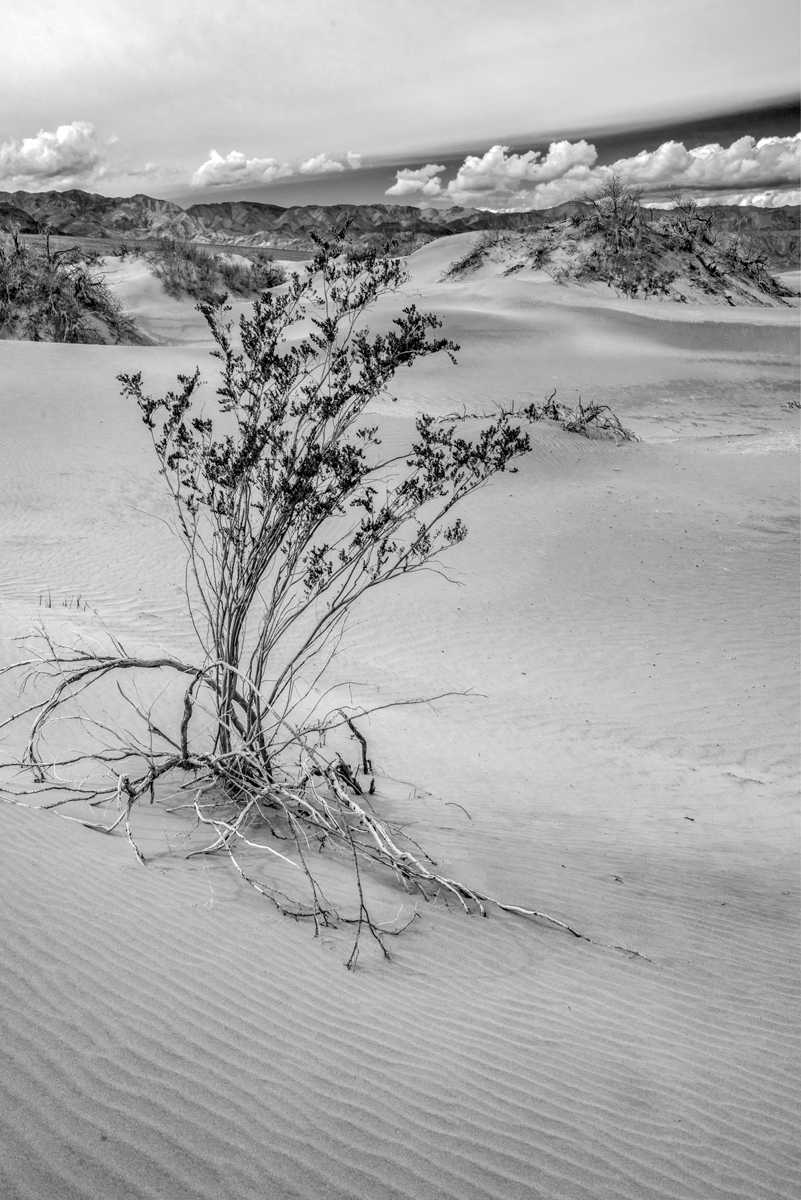 ALONE, DEATH VALLEY