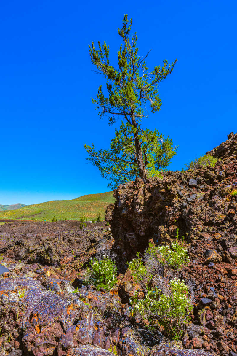 CRATERS OF THE MOON 3