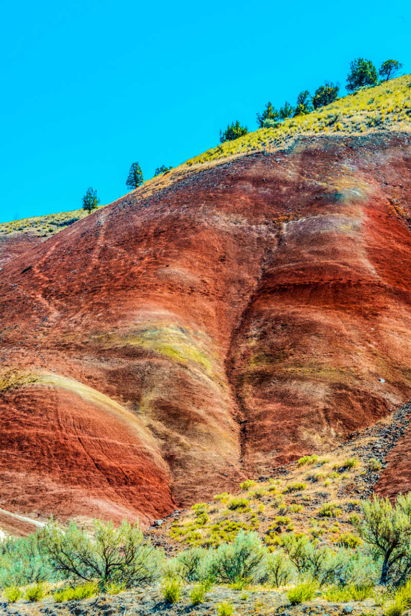 PAINTED HILLS 14