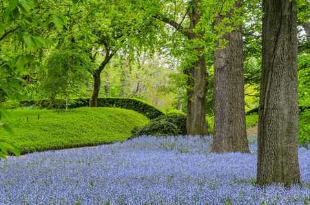 BROOKLYN BOTANIC GARDEN 3