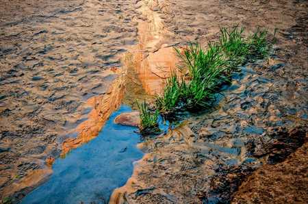 REFLECTIONS ZION 2009