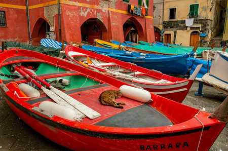 DOWNTIME, VERNAZZA 