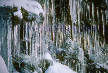 ICICLES YOSEMITE