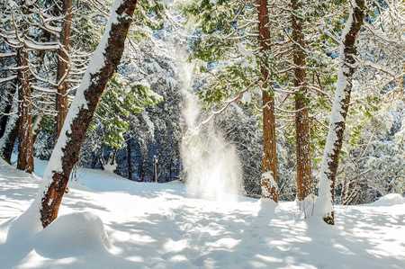 SNOW SHOWER