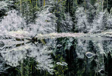 REFLECTIONS IN WHITE YOSEMITE