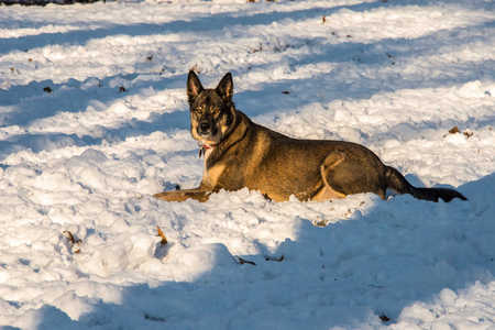 BROOKLYN FIRST SNOW 15