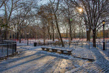 BROOKLYN FIRST SNOW 20