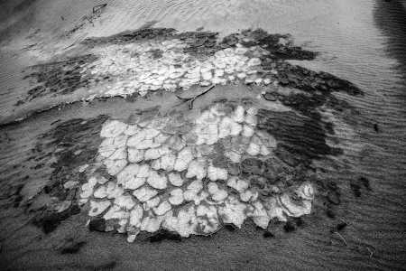 MUD FLAT, DEATH VALLEY