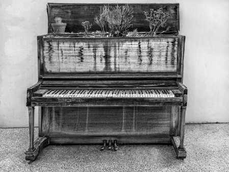 PIANO PLANTER