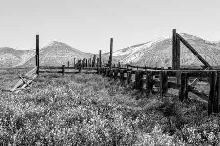 FORSAKEN CORRAL, CARRIZO PLAIN