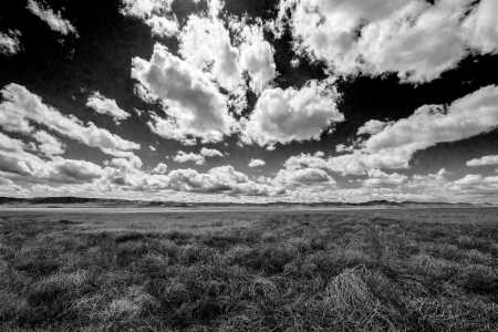 BIG SKY, CARRIZO PLAIN                           