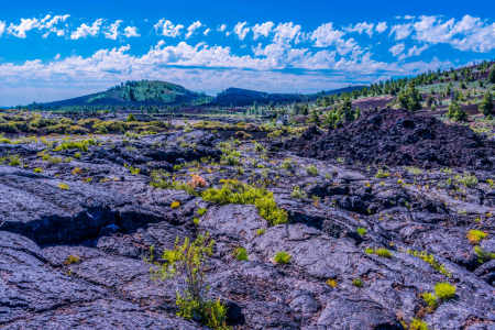 CRATERS OF THE MOON 7