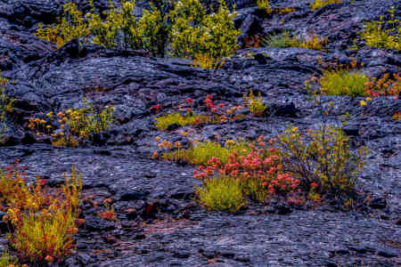 CRATERS OF THE MOON 9