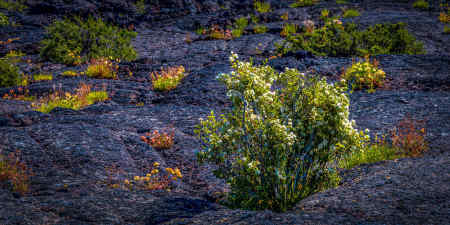 CRATERS OF THE MOON 25