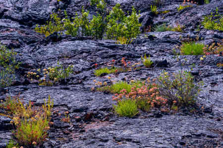 CRATERS OF THE MOON 27