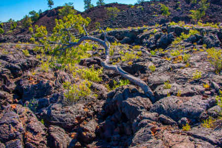 CRATERS OF THE MOON 36