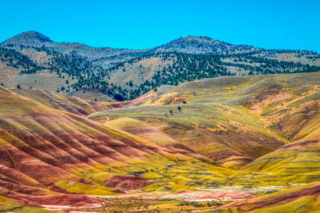 PAINTED HILLS 8