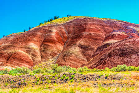 PAINTED HILLS 13