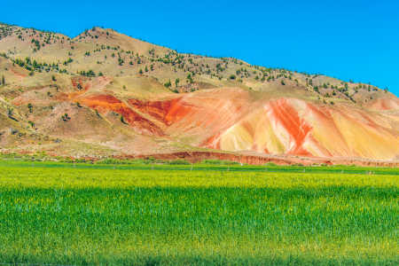 PAINTED HILLS 3