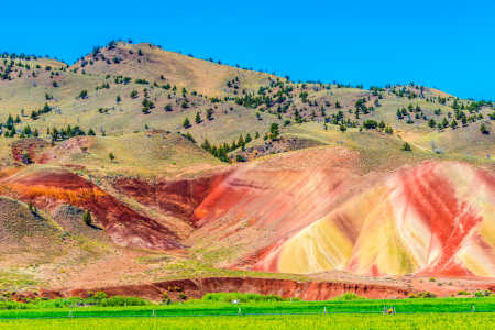 PAINTED HILLS 17