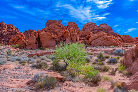 VALLEY OF FIRE 4 4