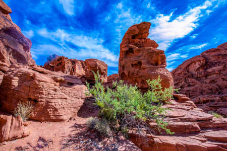 VALLEY OF FIRE 10