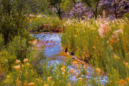 CAPITOL REEF15