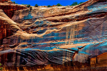 CANYONLANDS 80